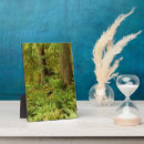Suche nach farne fotoplatten Wald