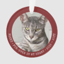 Suche nach haustier andenkensanhänger Katze