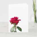 Suche nach einzeln karten Rose
