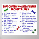 Suche nach wheaten terrier poster Niedlich