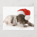 Suche nach weihnachtswelpen postkarten Bezaubernd