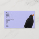 Suche nach schnabel visitenkarten Vögel