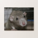 Suche nach ratten puzzle Tier