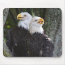 Suche nach weißkopfseeadler mousepads Kahl
