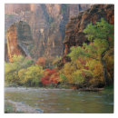 Suche nach tor fliesen Natur