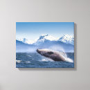 Suche nach wal leinwandbilder Boot