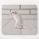 Suche nach säugetier mousepads Weiß