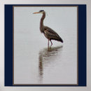 Suche nach reiher poster Natur