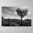 Suche nach herz blätter poster Liebe