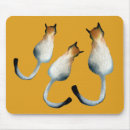 Suche nach katzenbilder mousepads Tiere
