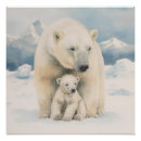Suche nach arctic poster Tierwelt