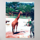 Suche nach kleine giraffe poster Tier