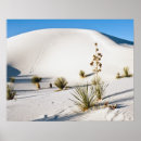 Suche nach yucca poster Denkmal