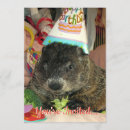 Suche nach eichhörnchen geburtstag einladungen Nagetier