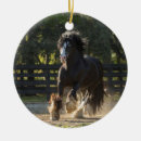 Suche nach sinti ornamente Pferde