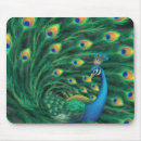 Suche nach blauer vogel mousepads Natur