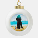 Suche nach strand muscheln ornamente Natur