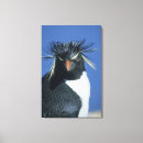 Suche nach seevögel leinwandbilder Vogel