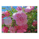 Suche nach romantische blumen poster Pfennigfuchser