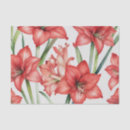 Suche nach vibrierendes rot Blume