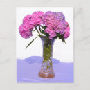 Suche nach hydrangeas postkarten Blaue blume