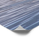 Suche nach kojote poster Natur