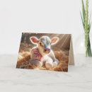 Suche nach kalb karten Bauernhof