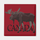 Suche nach moose magnete Kanada