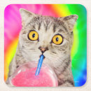 Suche nach witze untersetzer Katze