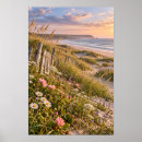 Suche nach küsten poster Wildblume