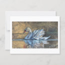 Suche nach reflexion im wasser postkarten Vogelvogel