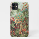Suche nach moos Ernst haeckel