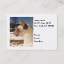 Suche nach weiße katze visitenkarten Blau