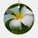 Suche nach schöne blume ornamente Weiß