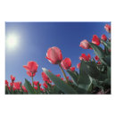 Suche nach perspektive poster Sonne