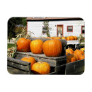 Suche nach usa farben magnete Herbst