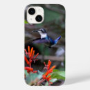 Suche nach kolibris iphone hüllen Natur