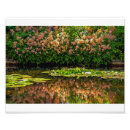 Suche nach teich poster Blumen