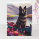 Suche nach belgische karten Hund