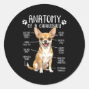 Suche nach chihuahua aufkleber Haustier
