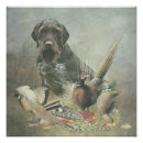 Suche nach der eber poster Tier