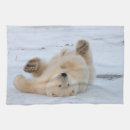 Suche nach eisbär geschirr tücher Alaska