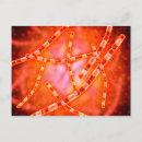 Suche nach naturwissenschaften postkarten Gesundheitswesen