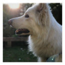 Suche nach german kunst poster Gsd