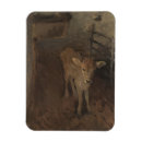 Suche nach kalb magnete Vieh
