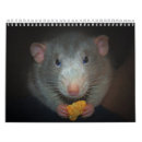 Suche nach ratten kalender Haustiere