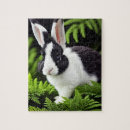 Suche nach kaninchen puzzle Hase