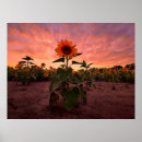 Suche nach pinkeln poster Natur