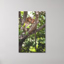 Suche nach affen leinwandbilder Liebe