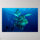Suche nach papageienfisch poster Meer